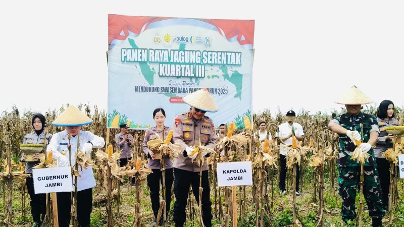 Kapolda Jambi Irjen Pol Krisno H Siregar bersama Gubernur Al Haris, Danrem 042 Gapu Brigjen TNI Heri Purwanto saat panen raya jagung serentak kuartal III di Kabupaten Tanjung Jabung Timur, Sabtu (27/9/2025).